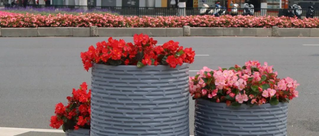 a22e993bd2ad33803b2122886c07bec.jpg 圖片