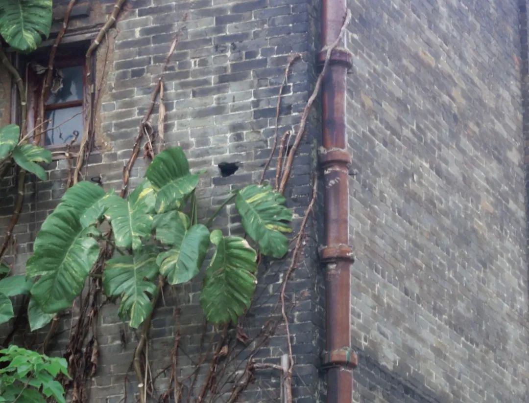 247a9468aba190cc29f346bdc456310.jpg 圖片