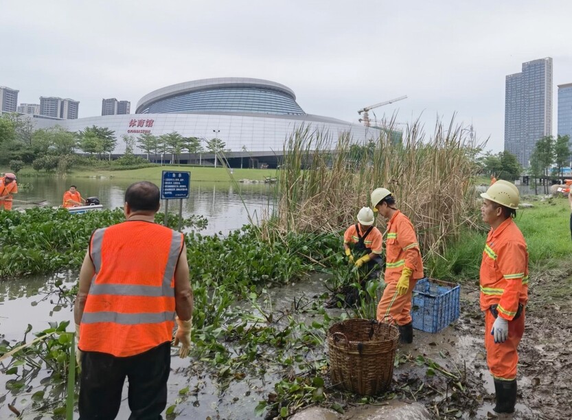 2023年5月創(chuàng)文動(dòng)態(tài)信息1)_1