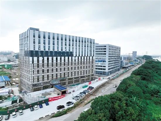 51241727371497538.jpg 圖片