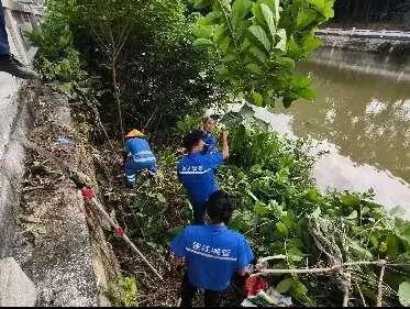 640 - 2025-03-21T095737.937.jpg