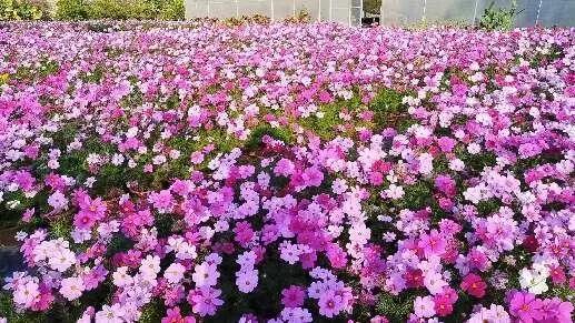 640 - 2025-03-21T095731.280.jpg