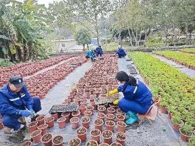 640 - 2025-03-21T095728.532.jpg