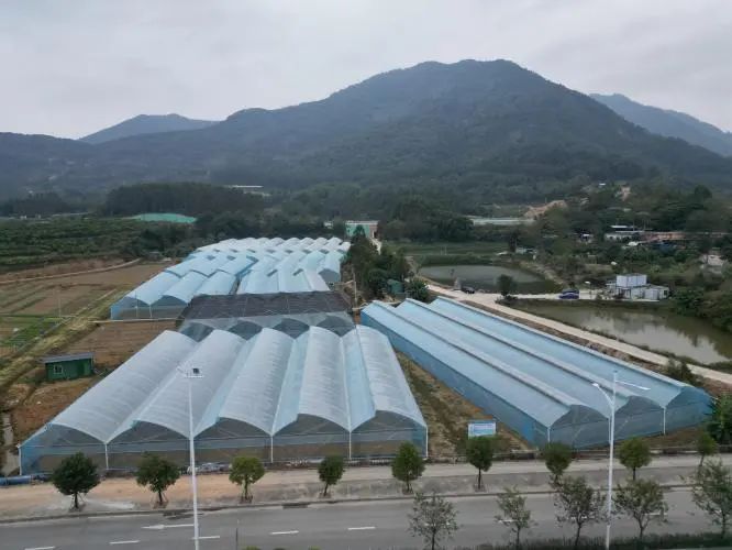 轉(zhuǎn)存圖片