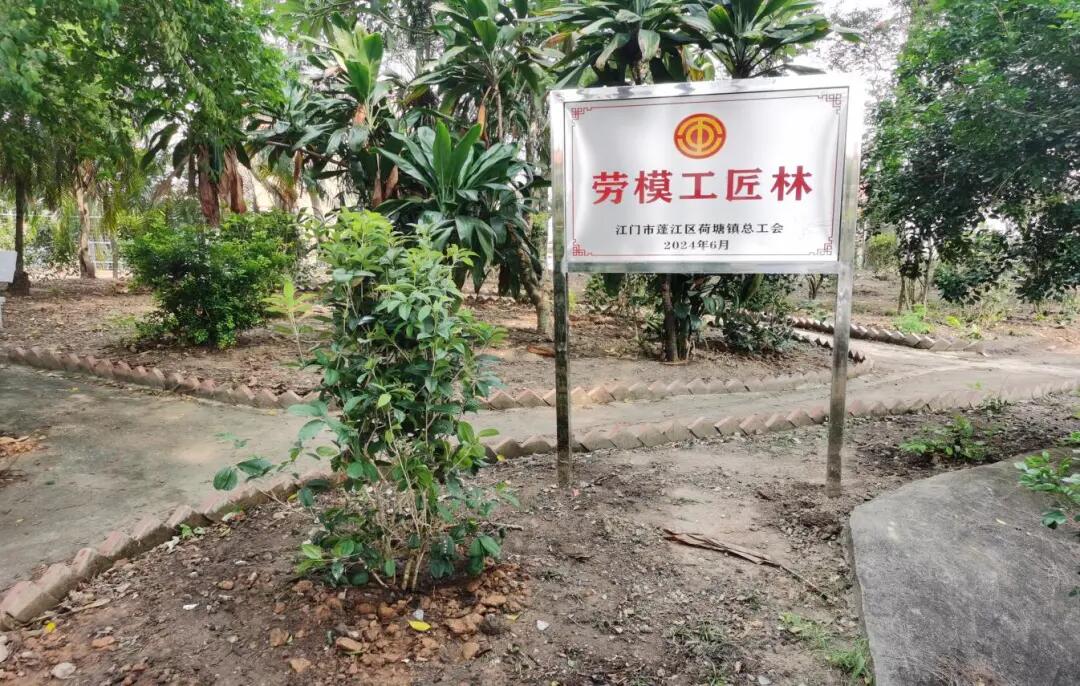 640 - 2025-04-01T093555.654.jpg