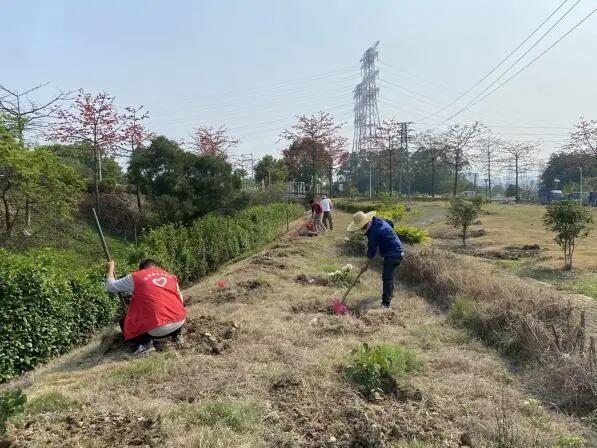 640 - 2025-04-08T093324.268.jpg