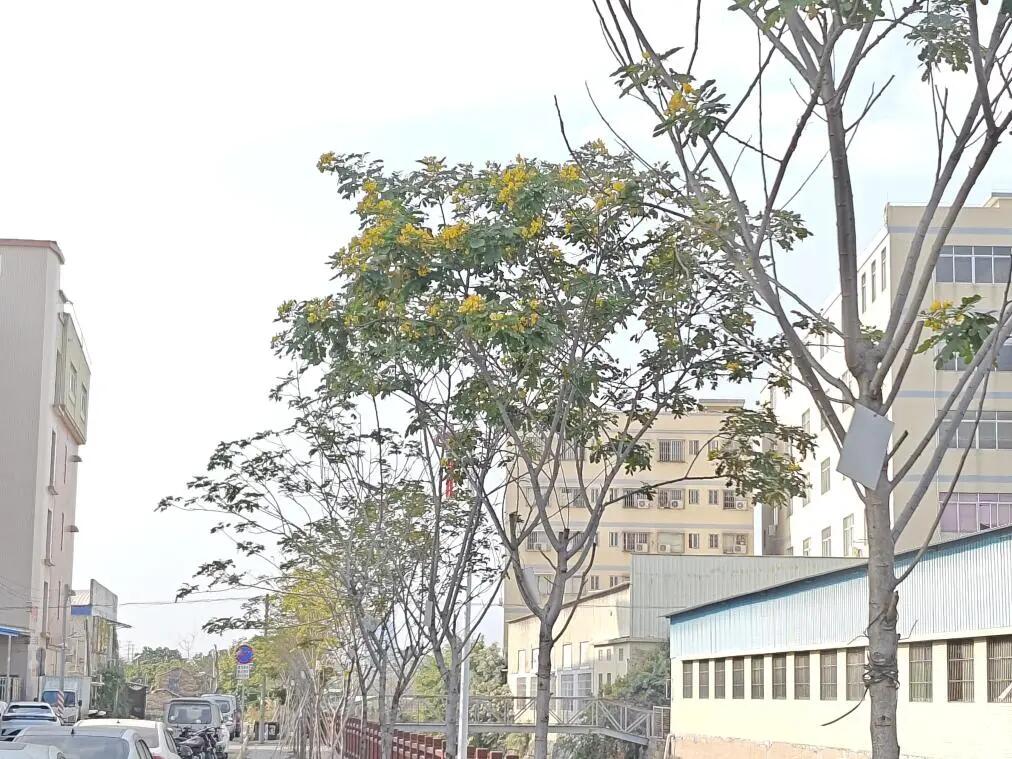 640 - 2025-04-18T101451.435.jpg