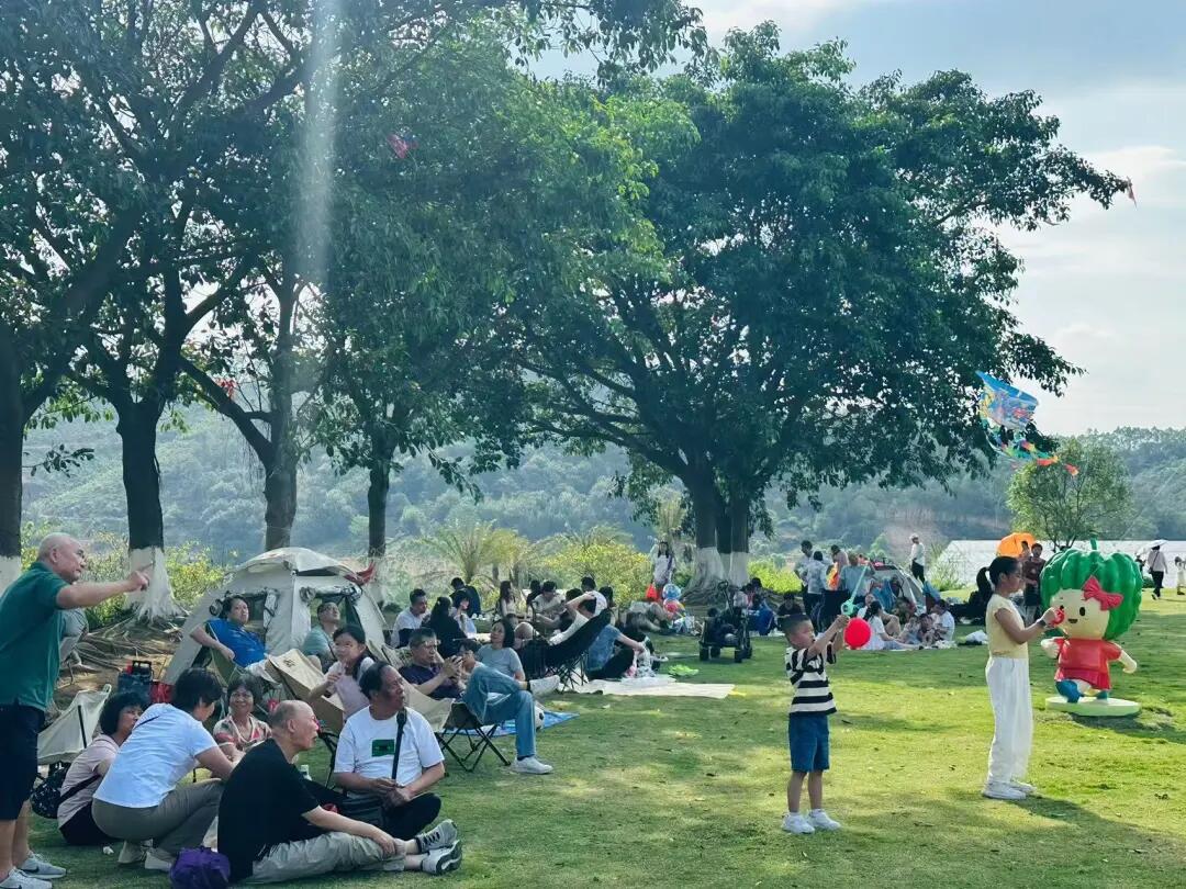 640 - 2025-05-09T100717.986.jpg