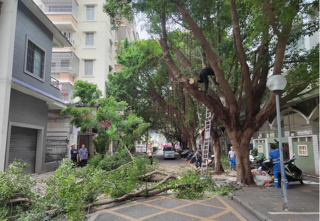 640 - 2025-05-16T113151.497.jpg