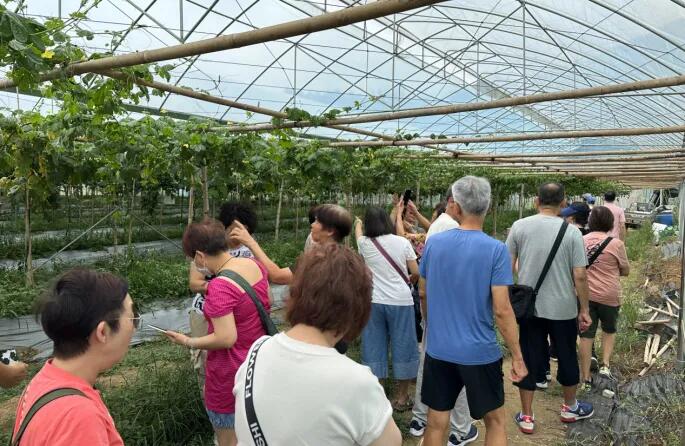 640 - 2025-06-06T144346.680.jpg