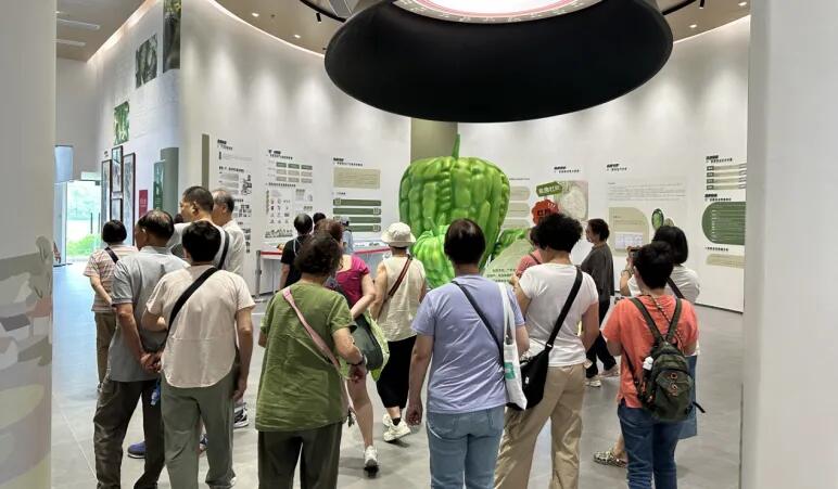 640 - 2025-06-06T144234.882.jpg