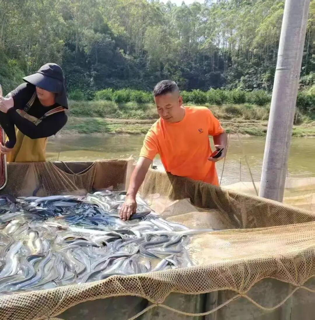 640 - 2025-06-13T101404.373.jpg