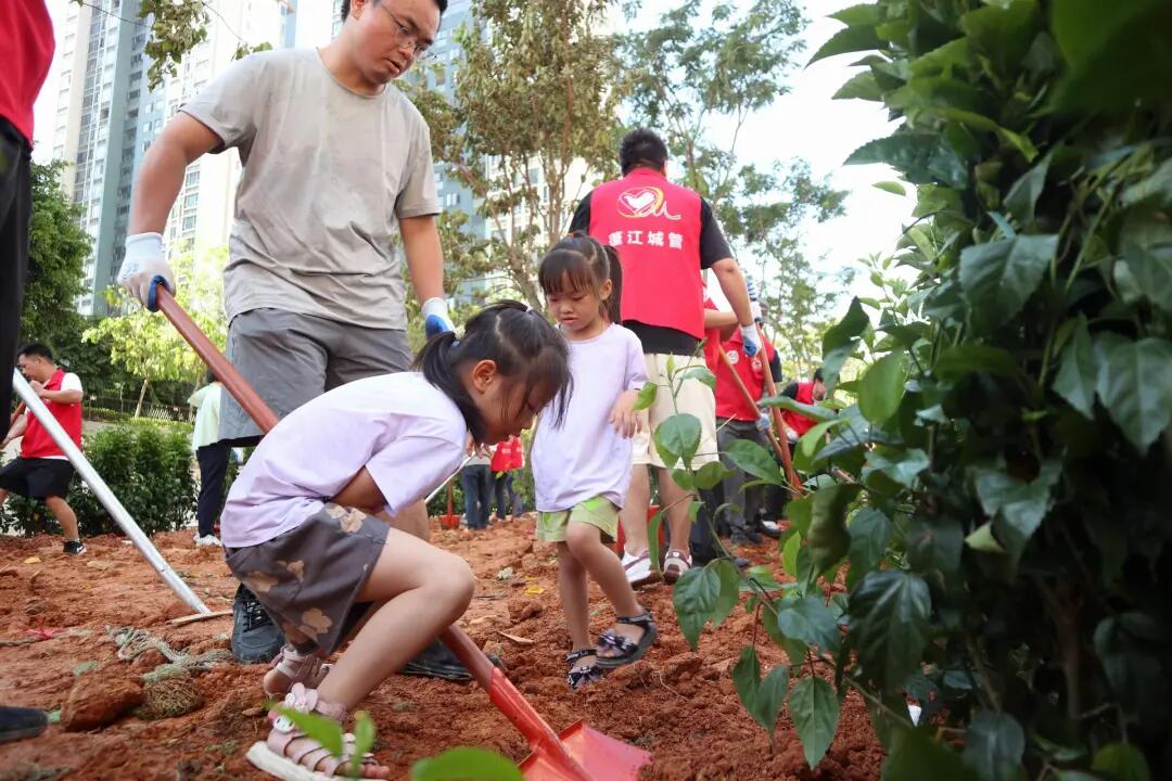 640 - 2025-07-11T150636.622.jpg