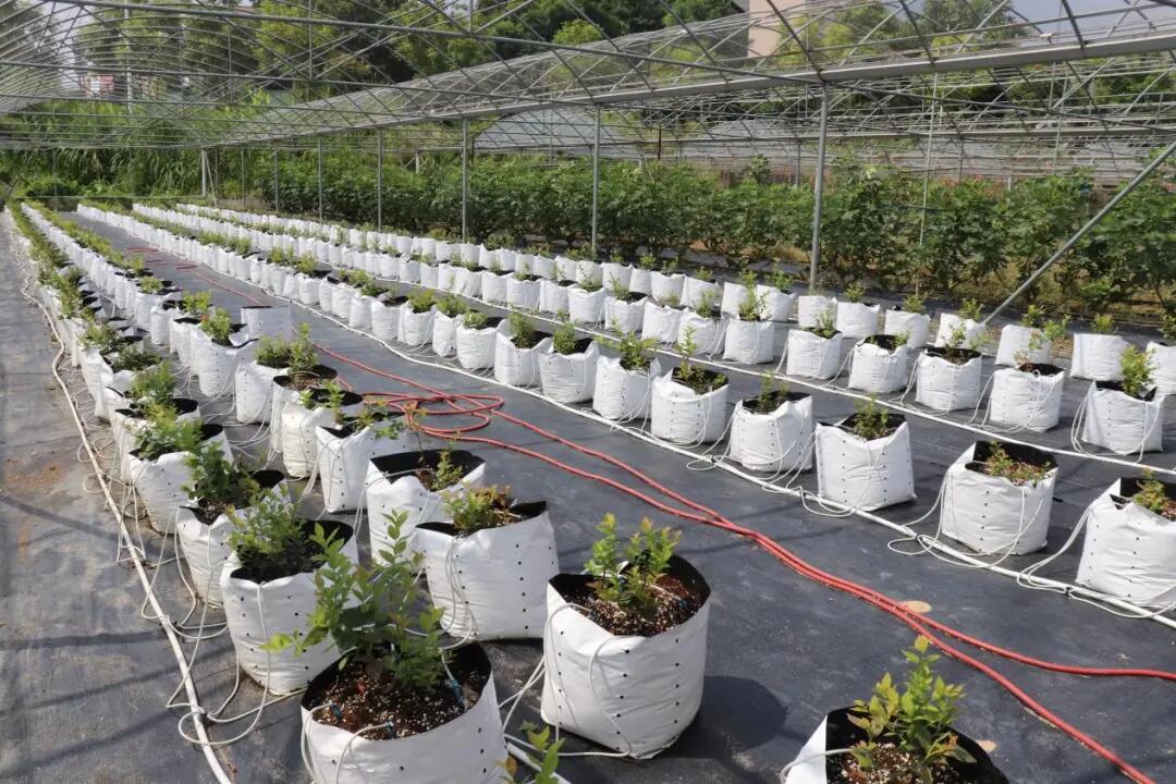 640 - 2025-07-25T092827.829.jpg