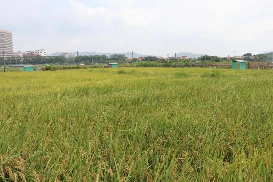 640 - 2025-07-25T092822.036.jpg