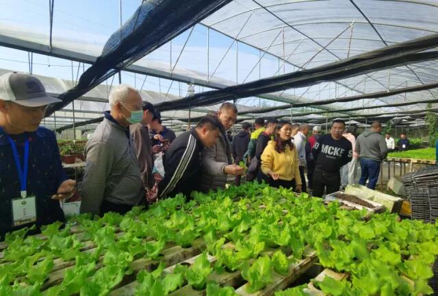 640 - 2025-07-29T094155.756.jpg