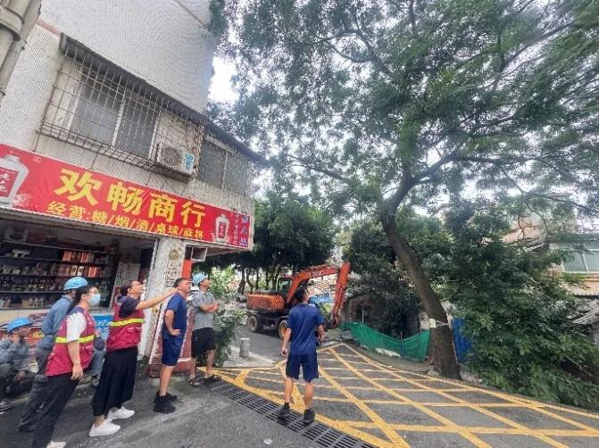 640 - 2025-08-01T093115.121.jpg