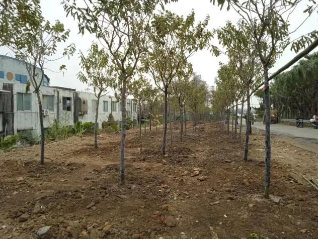 640 - 2025-08-12T095450.509.jpg