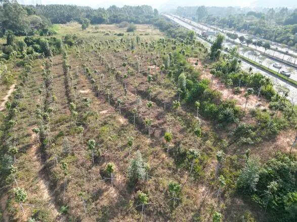 640 - 2025-08-26T091231.290.jpg