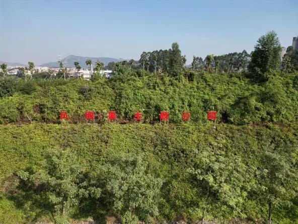 640 - 2025-08-26T091227.894.jpg