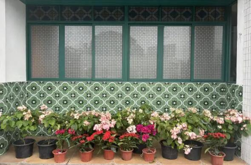 640 - 2025-08-26T091251.220.jpg