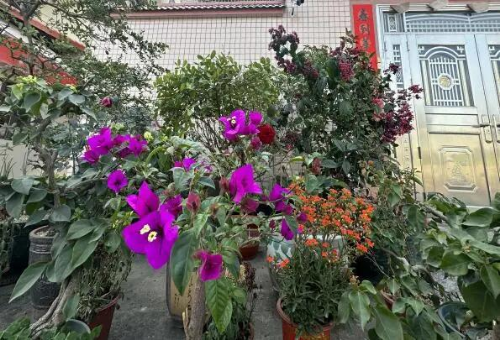 640 - 2025-08-26T091254.119.jpg